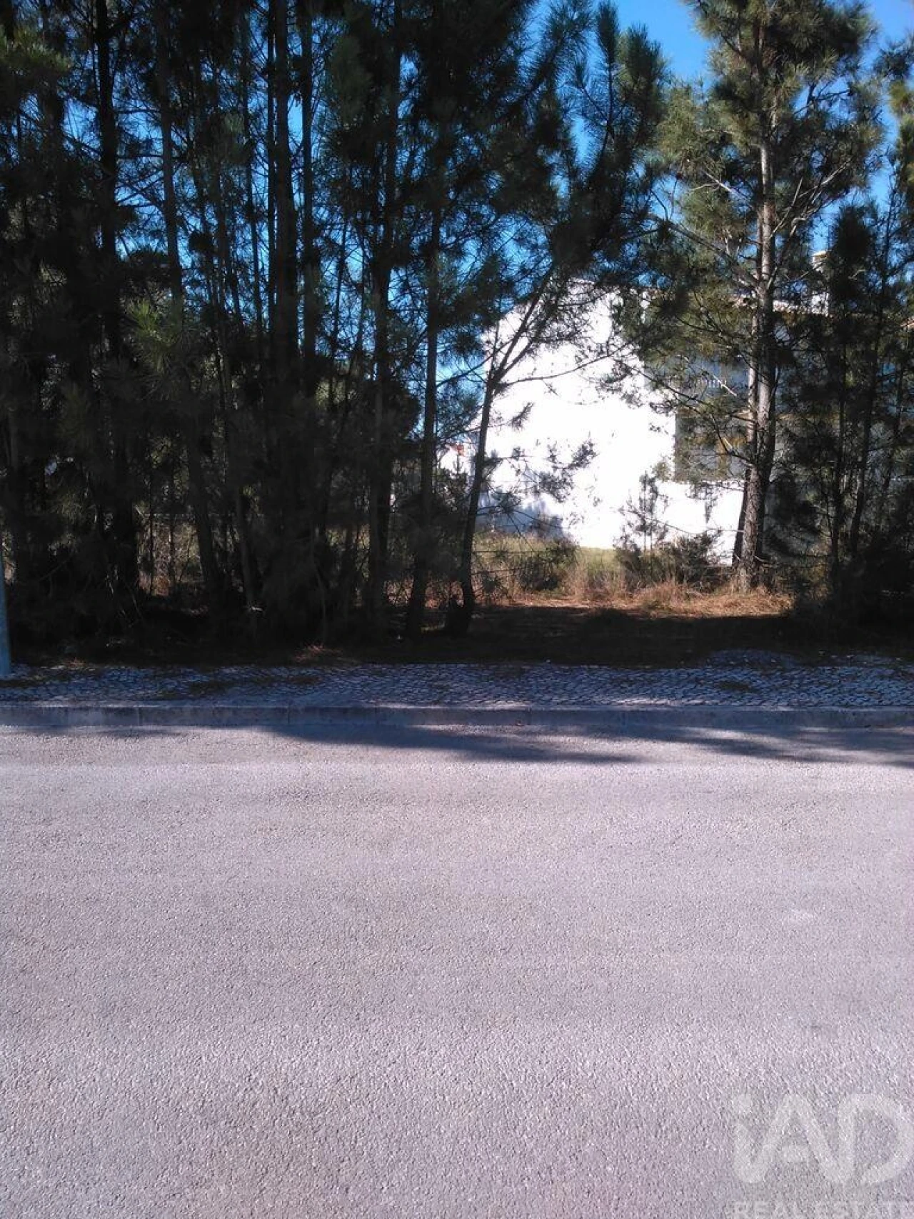 Terreno para Venda em Azeitão (São Lourenço e São Simão) Foto 4