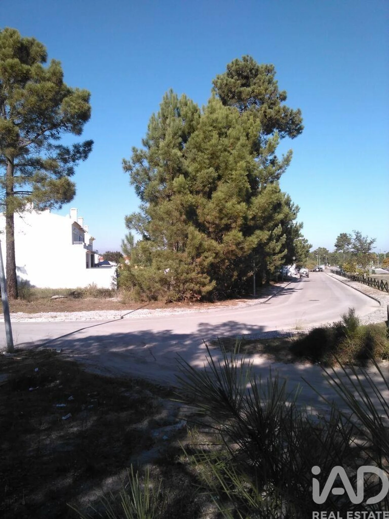 Terreno para Venda em Azeitão (São Lourenço e São Simão) Foto 7