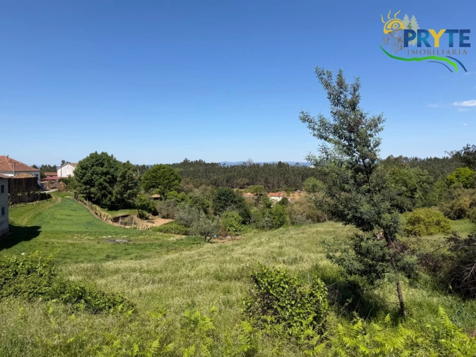 Moradia para Venda em Sertã Foto 45