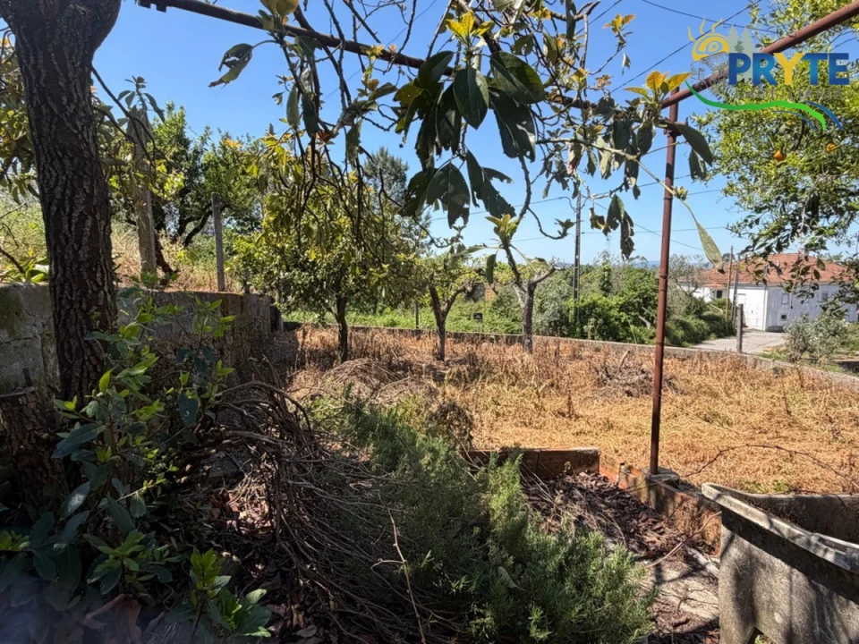 Moradia para Venda em Sertã Foto 49