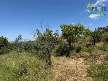 Moradia para Venda em Sertã