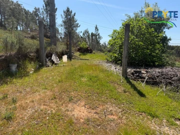 Moradia para Venda em Sertã