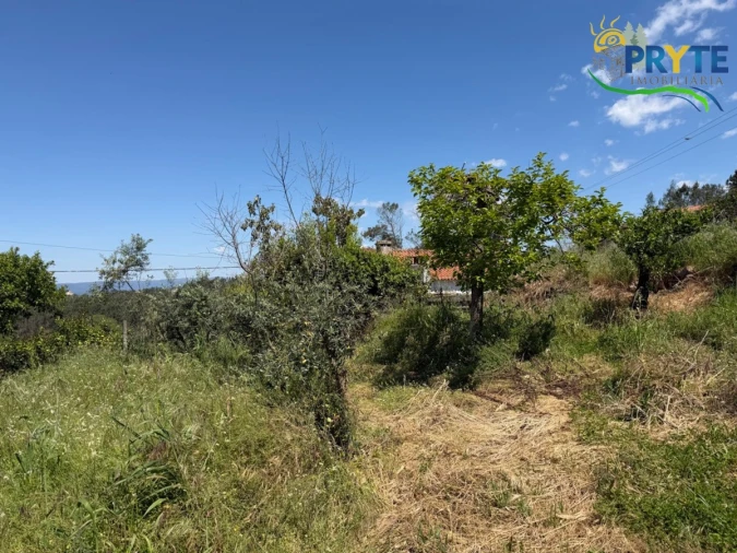 Moradia para Venda em Sertã Foto 65