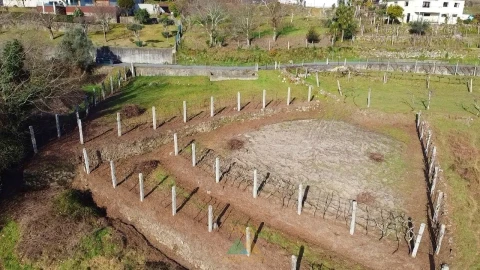 Terreno para Venda em Alvora e Loureda