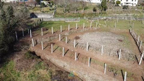 Terreno para Venda em Alvora e Loureda