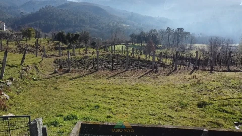Terreno para Venda em Alvora e Loureda