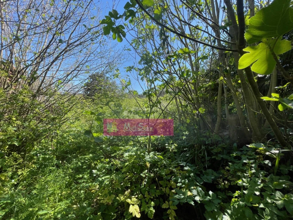 Moradia T1 para Venda em Atouguia Foto 25