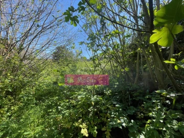 Moradia T1 para Venda em Atouguia