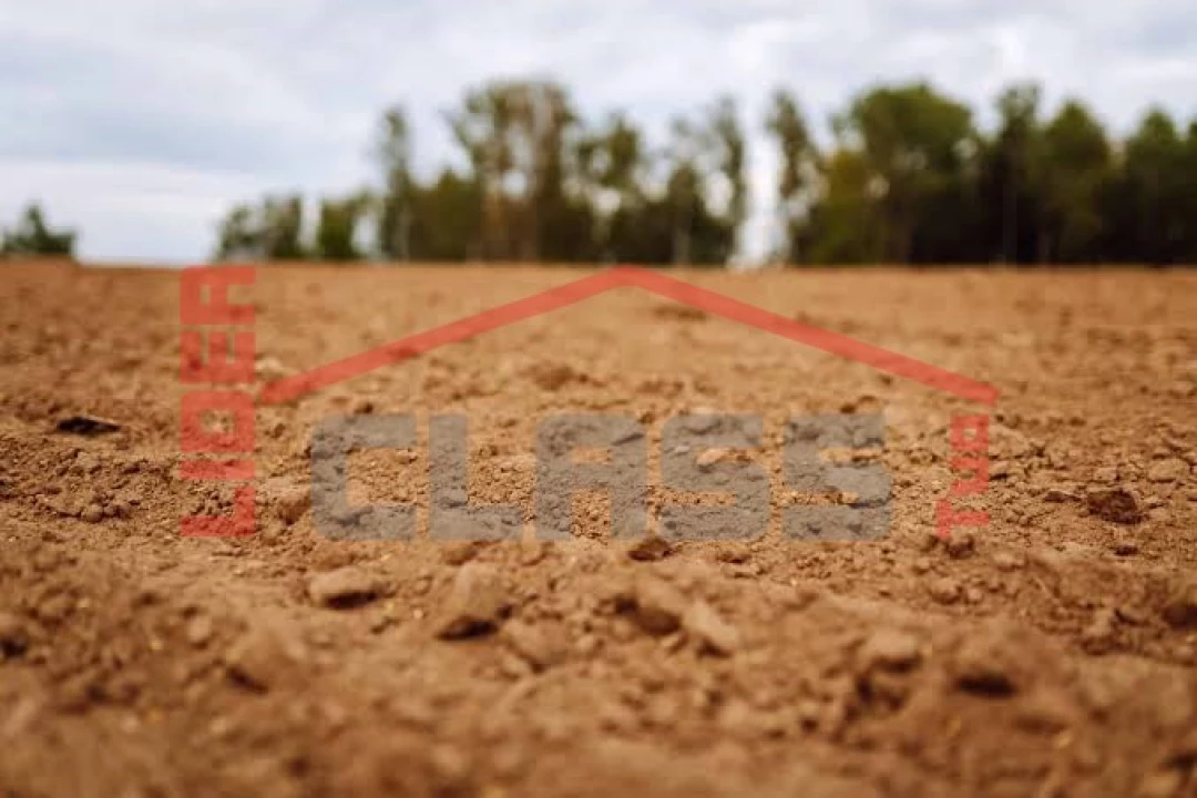 Terreno Agricola ou Rústico para Venda em Vila Flor e Nabo Foto 1