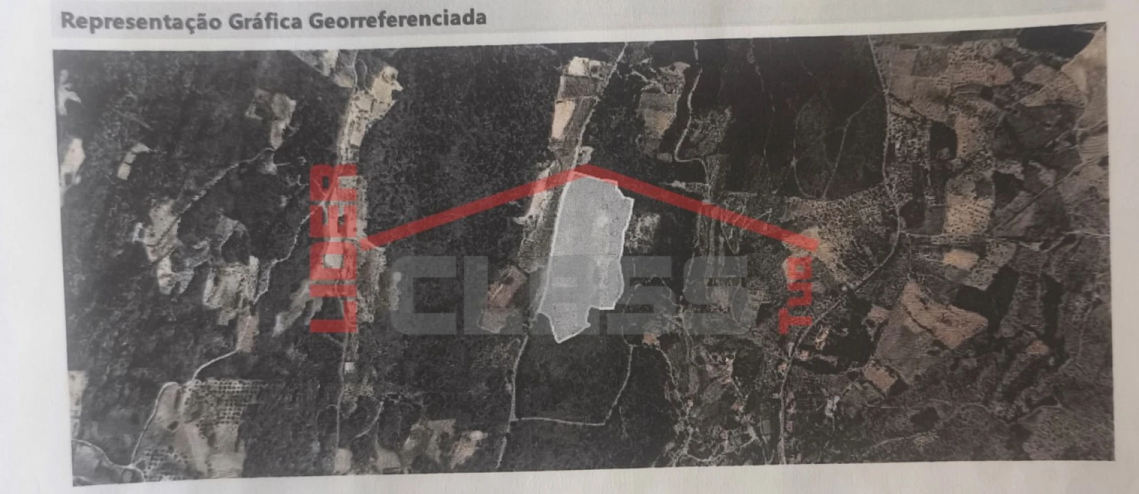 Terreno Agricola ou Rústico para Venda em Vila Flor e Nabo Foto 2