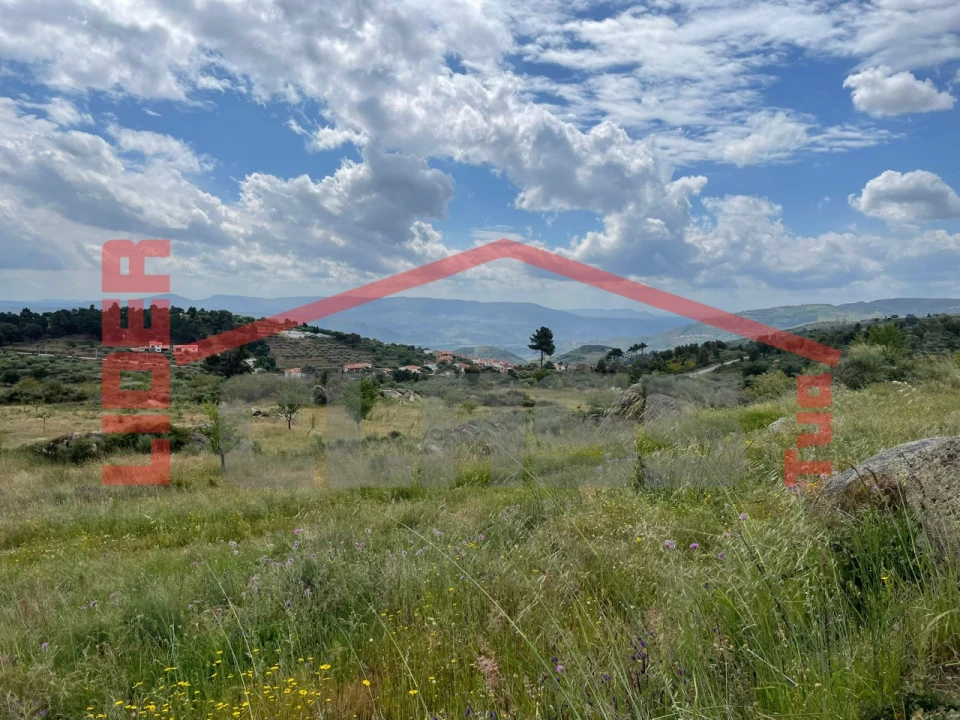 Terreno Agricola ou Rústico para Venda em Vila Flor e Nabo Foto 5