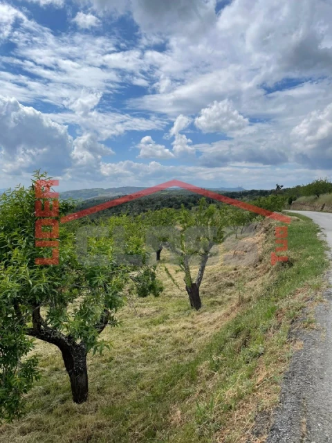 Terreno Agricola ou Rústico para Venda em Vila Flor e Nabo