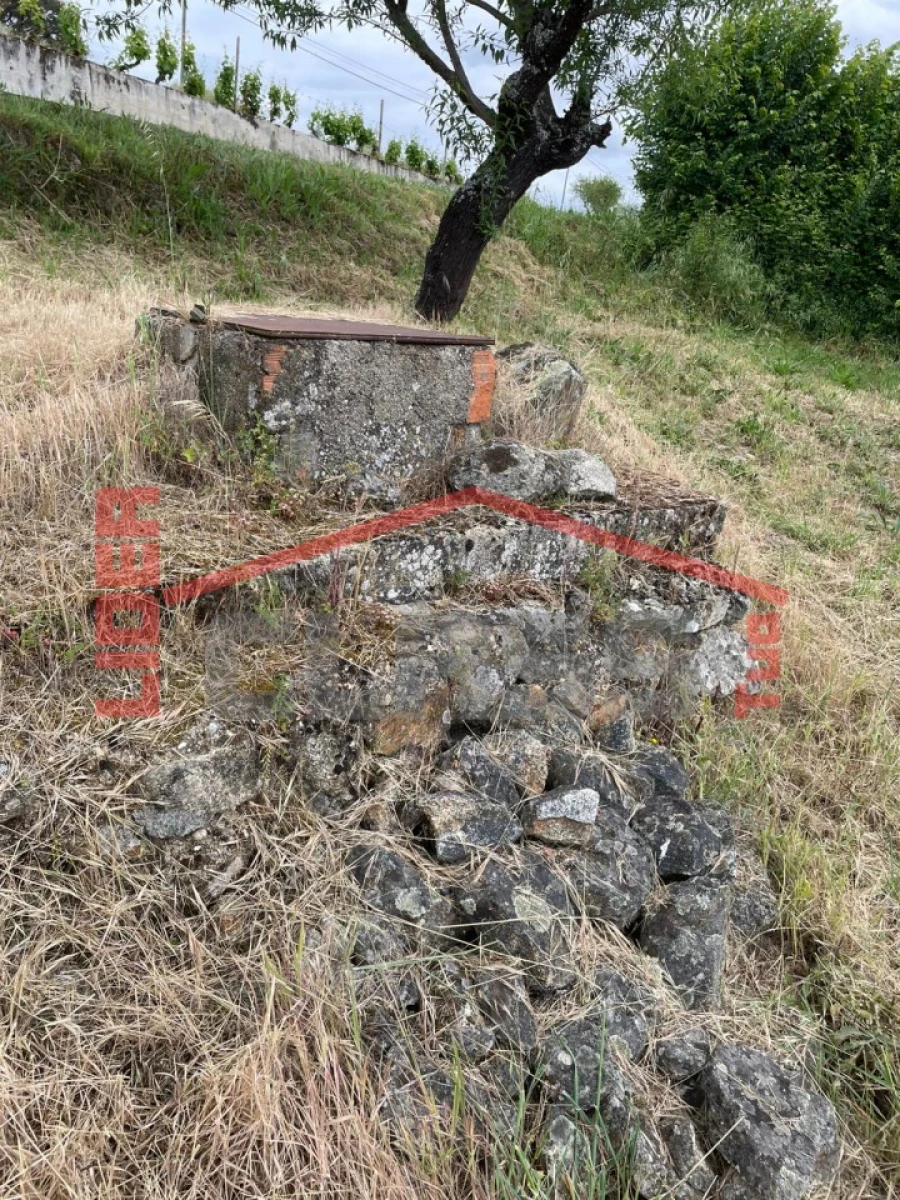 Terreno Agricola ou Rústico para Venda em Vila Flor e Nabo Foto 8