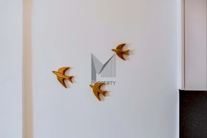 Apartamento T1 para Arrendamento em Quarteira