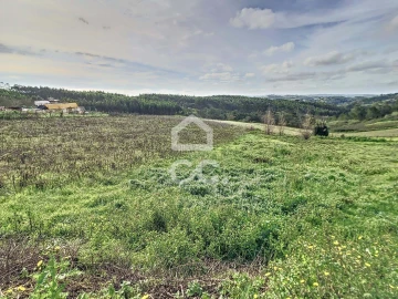 Terreno para Venda em Alvorninha