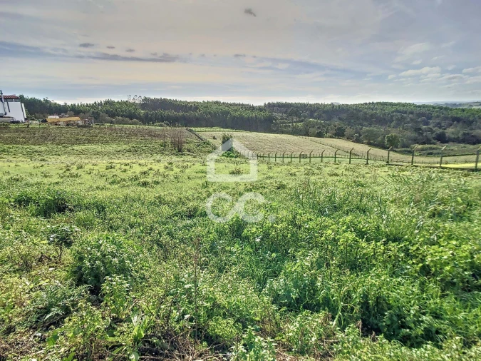 Terreno para Venda em Alvorninha Foto 4