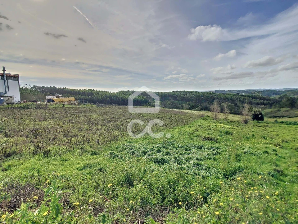 Terreno para Venda em Alvorninha Foto 7