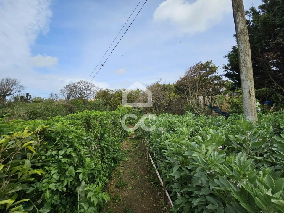 Moradia T2 para Venda em Porto Formoso Foto 21