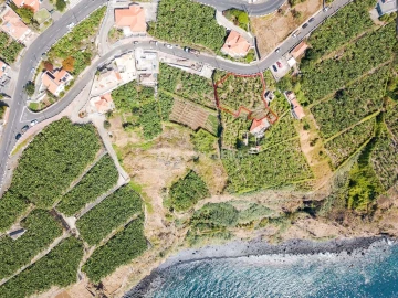 Terreno para Venda em Ribeira Brava