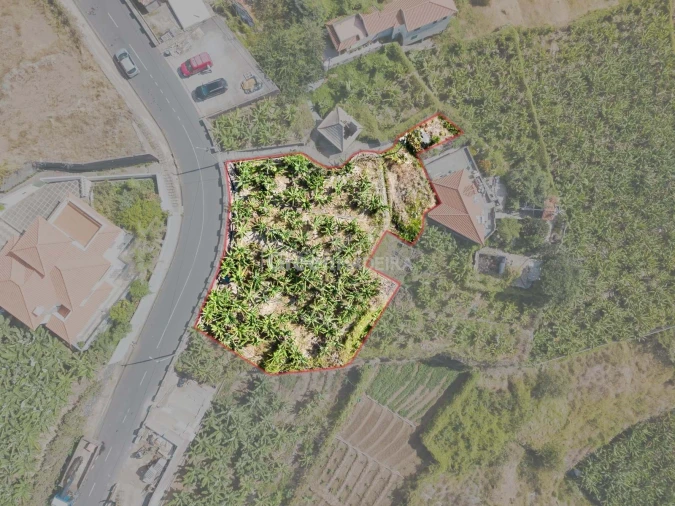 Terreno para Venda em Ribeira Brava Foto 7