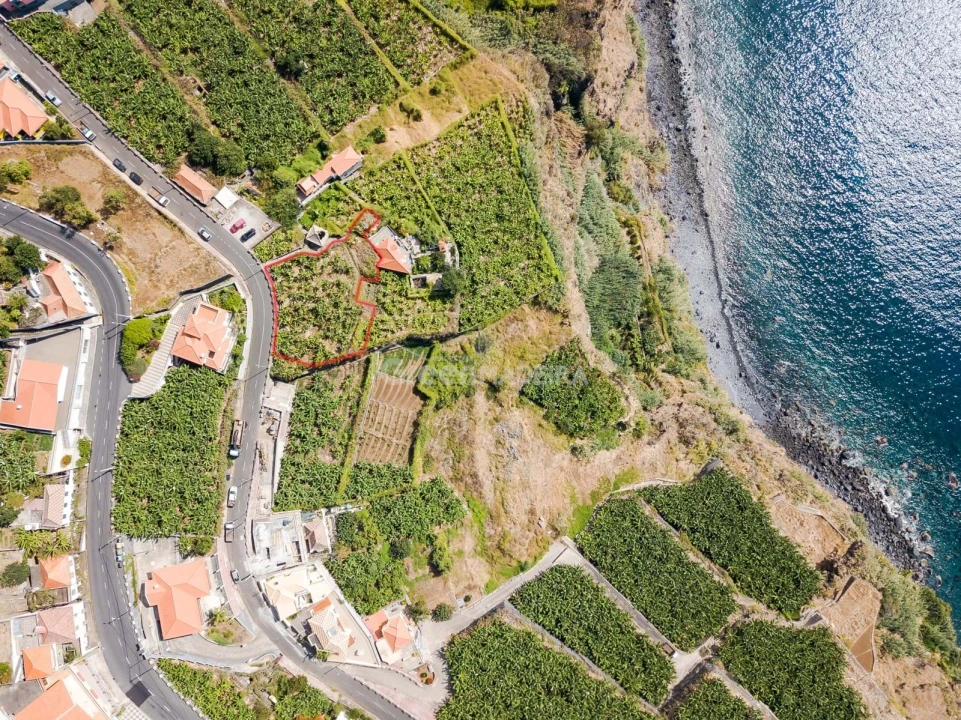 Terreno para Venda em Ribeira Brava Foto 6