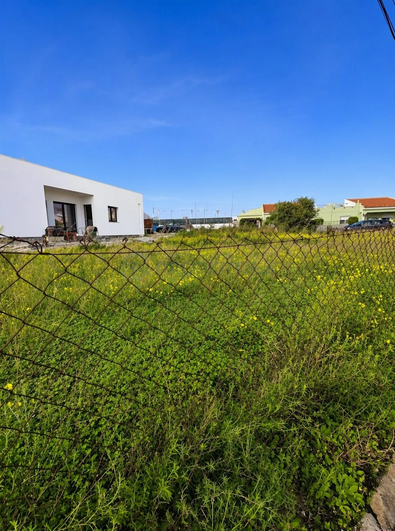 Terreno para Venda em Montenegro Foto 6