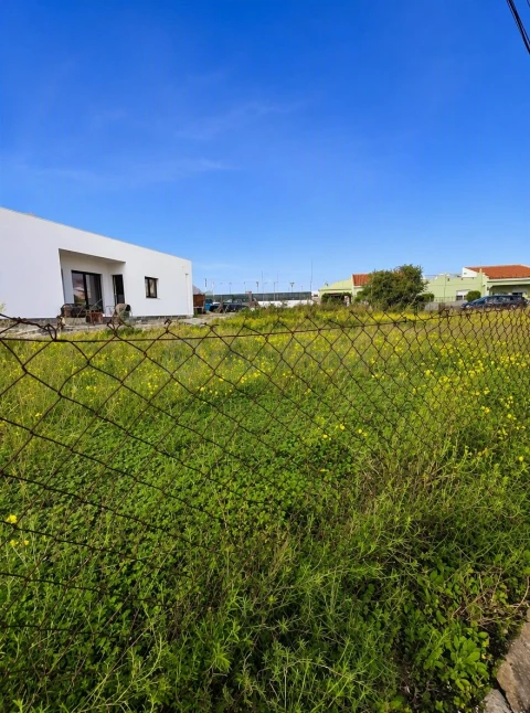 Terreno para Venda em Montenegro