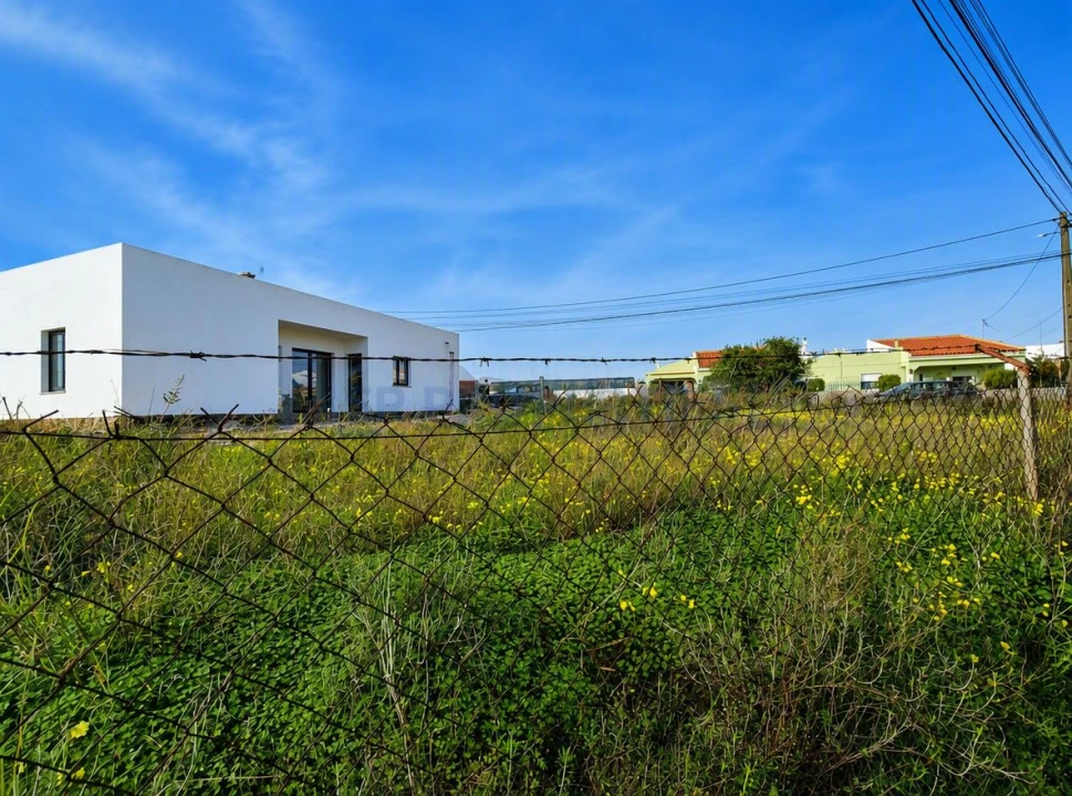 Terreno para Venda em Montenegro Foto 5