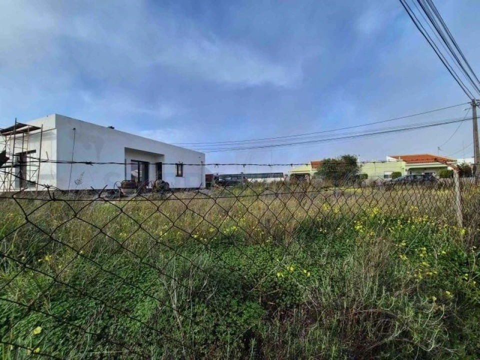 Terreno para Venda em Montenegro Foto 5