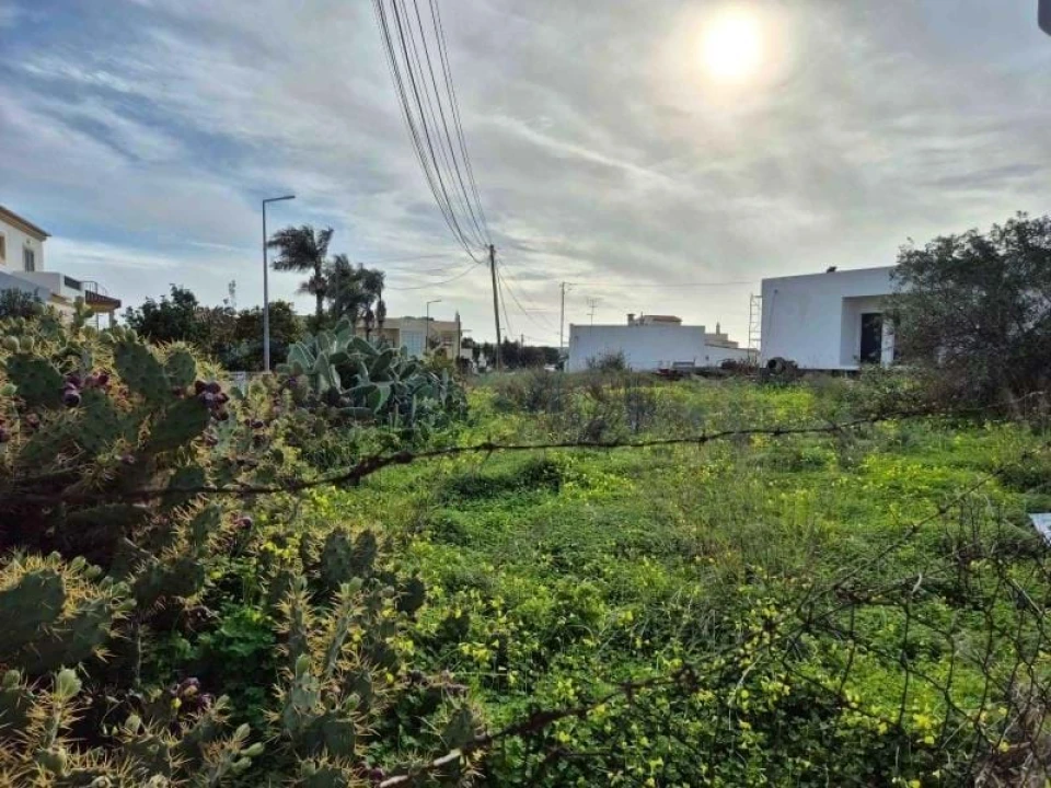 Terreno para Venda em Montenegro Foto 1