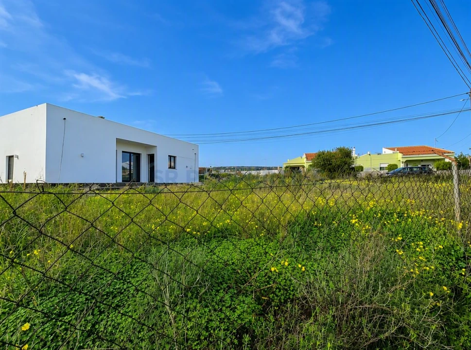 Terreno para Venda em Montenegro Foto 7