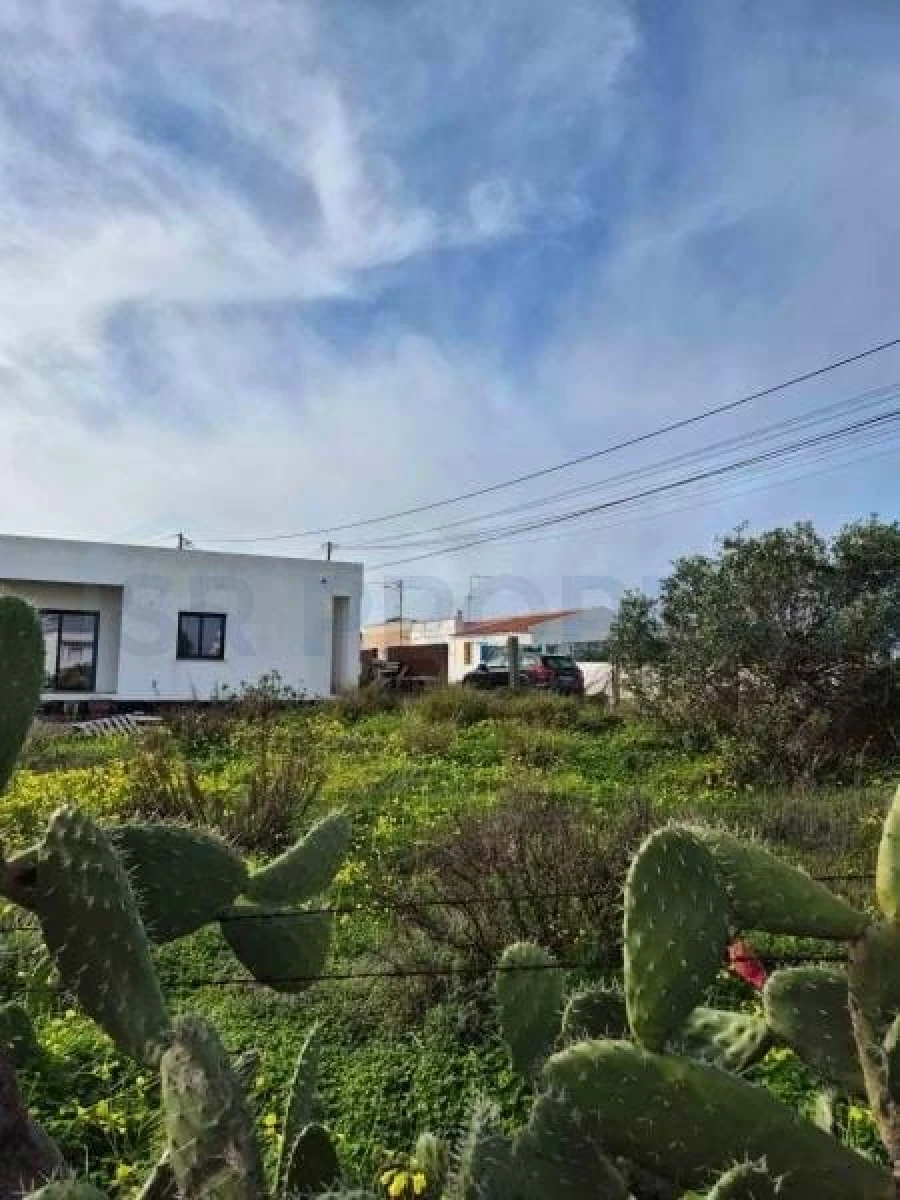 Terreno para Venda em Montenegro Foto 5