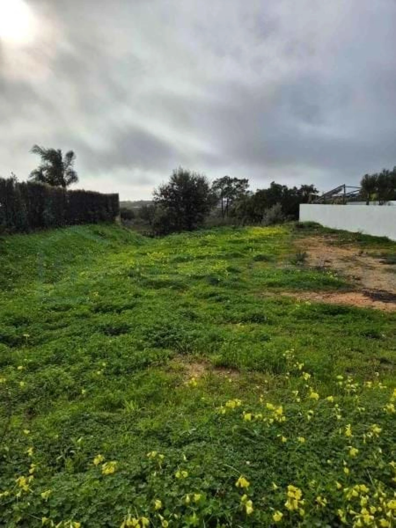 Terreno para Venda em Faro (Sé e São Pedro) Foto 2