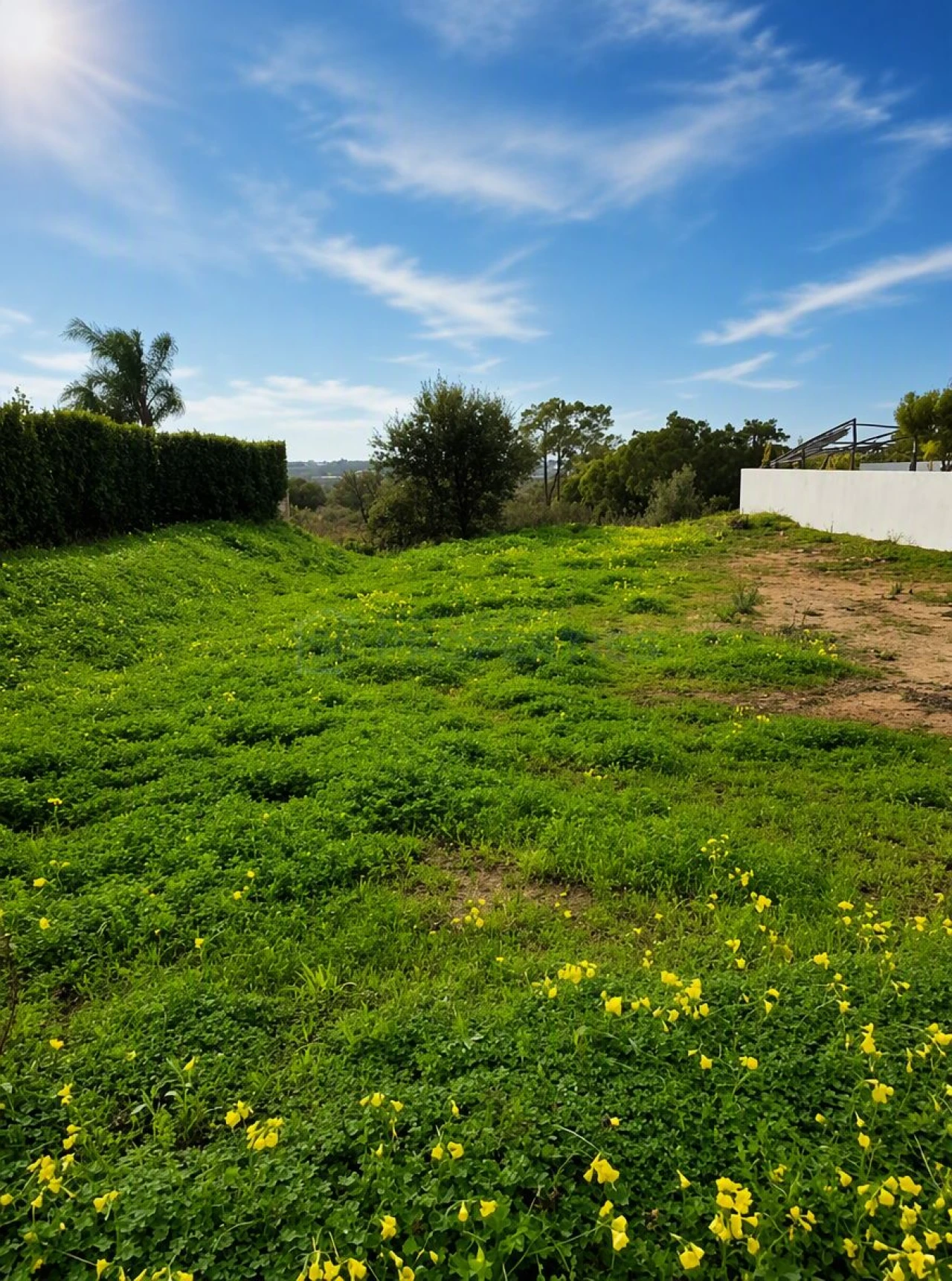 Terreno para Venda em Faro (Sé e São Pedro) Foto 3