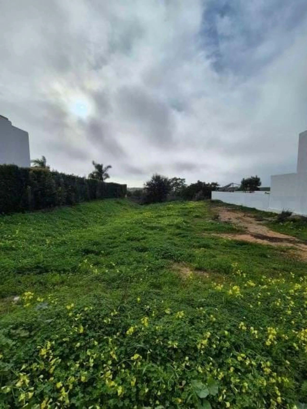 Terreno para Venda em Faro (Sé e São Pedro) Foto 9