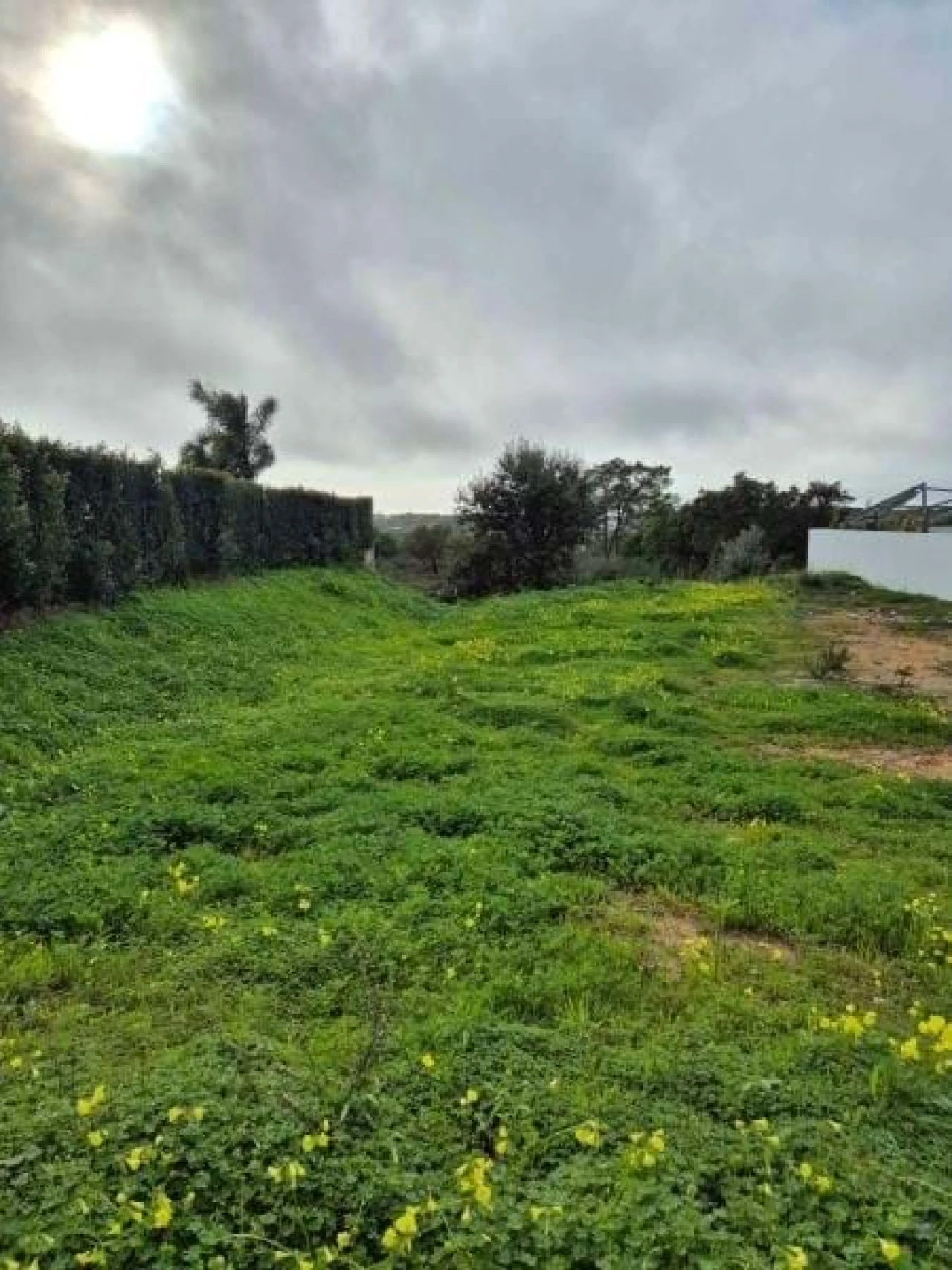 Terreno para Venda em Faro (Sé e São Pedro) Foto 8