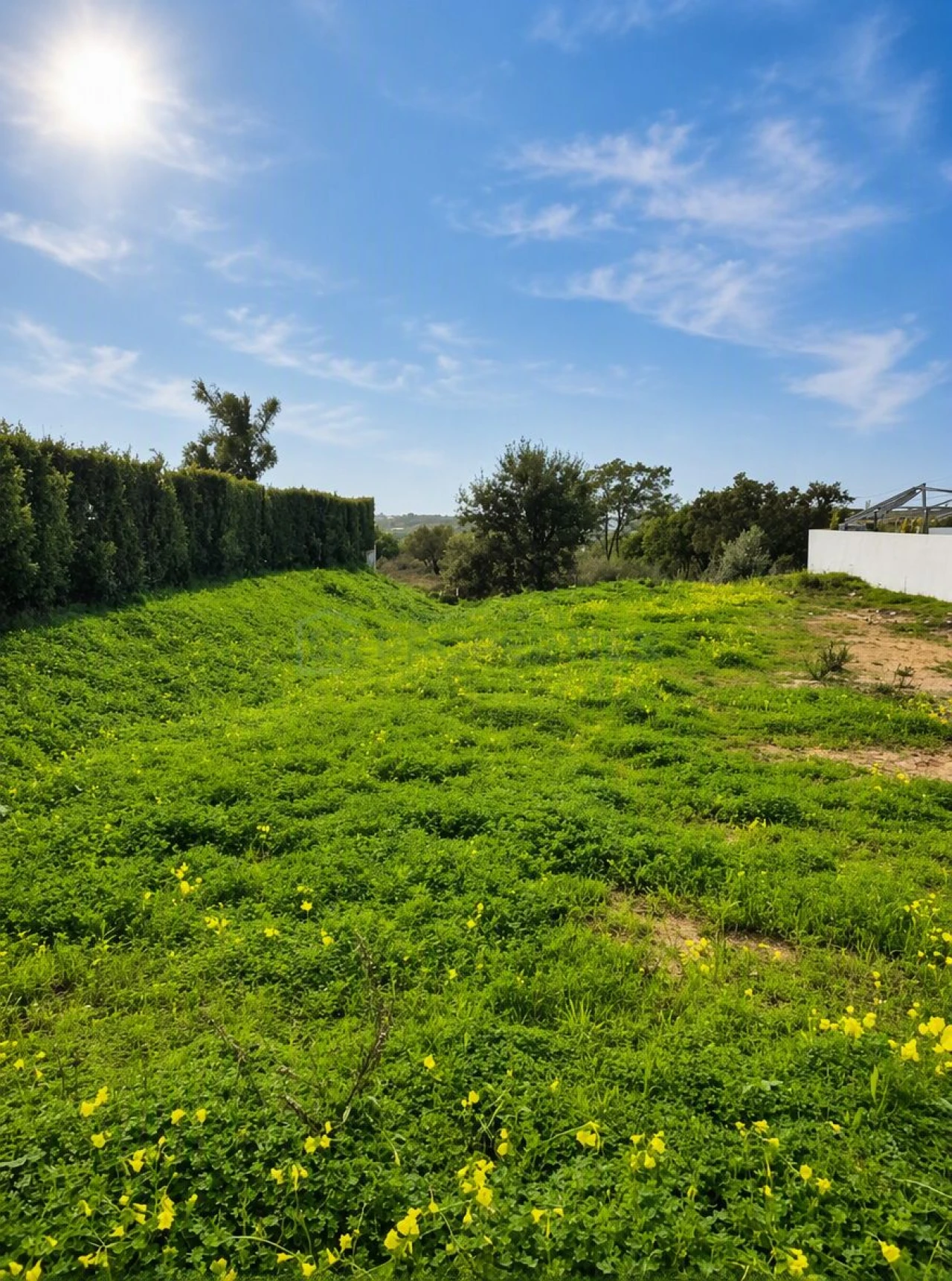Terreno para Venda em Faro (Sé e São Pedro) Foto 11