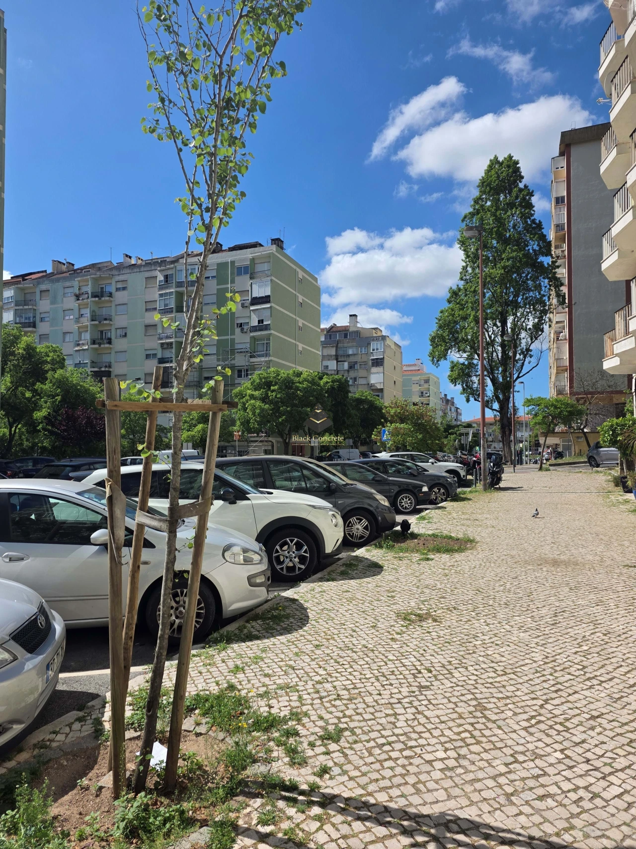 Apartamento T2 para Venda em Benfica Foto 18