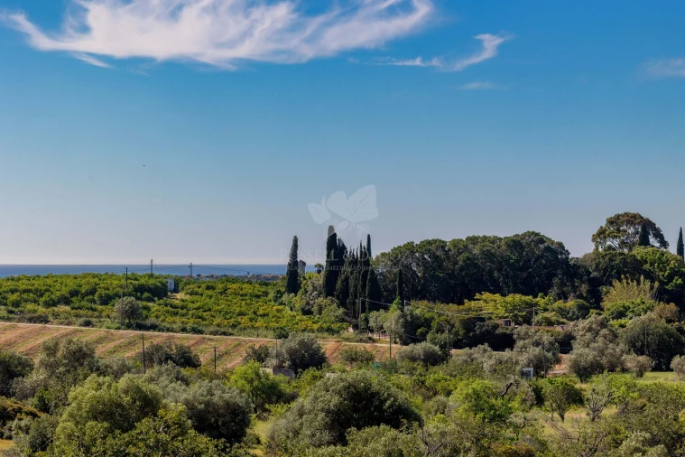 Moradia T3 para Venda em Olhão Foto 34