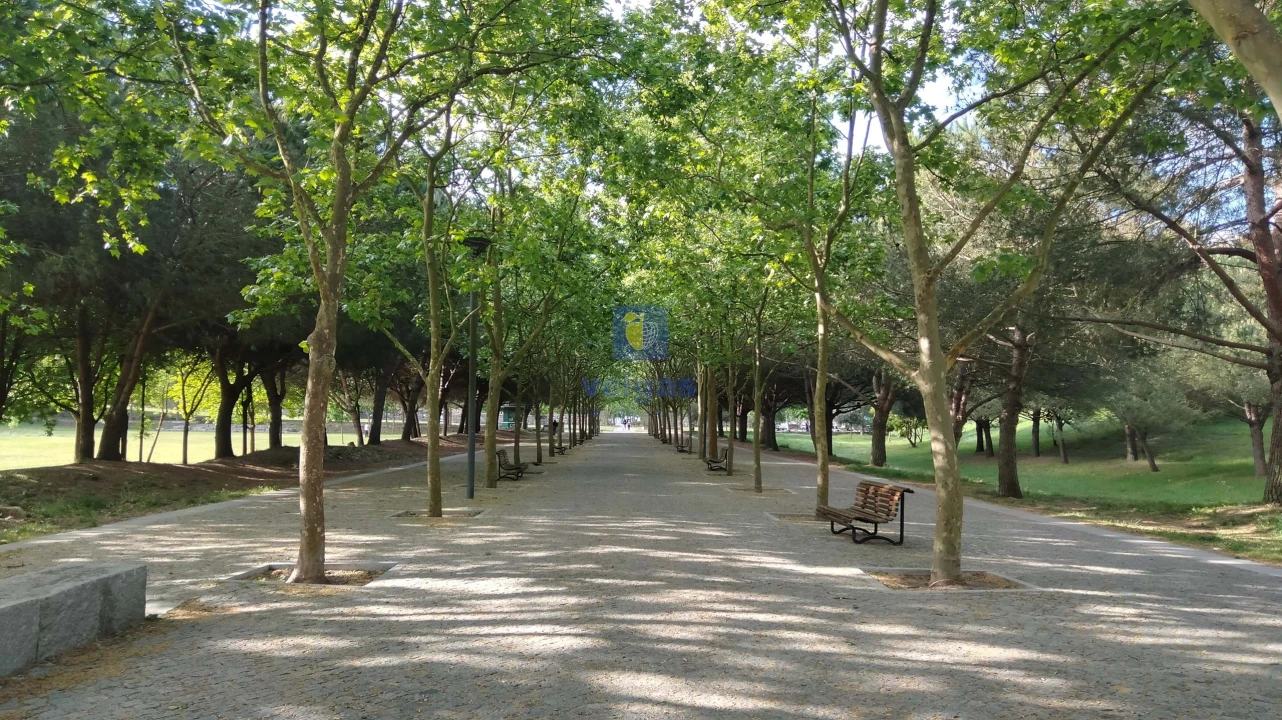 Apartamento T3 para Venda em Laranjeiro e Feijó Foto 36