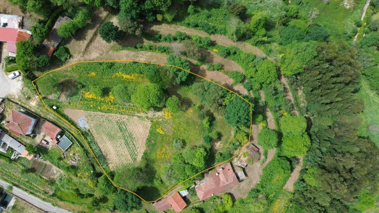 Terreno para Venda em Rebordões (Souto) Foto 3