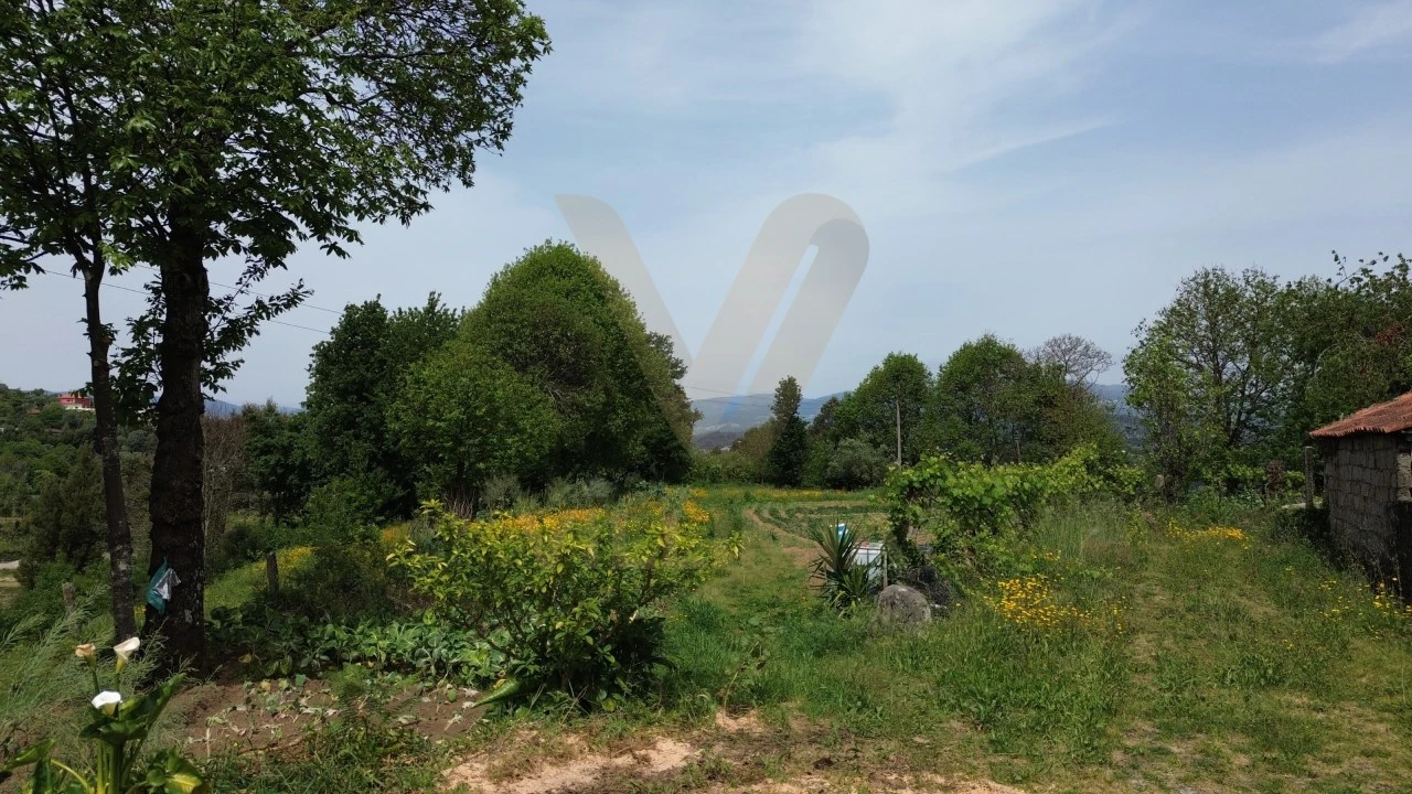 Terreno para Venda em Rebordões (Souto) Foto 8