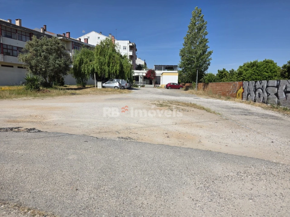 Terreno P/ Prédio para Venda em São João Baptista Foto 9