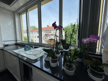 Apartamento T6 para Venda em Braga (São José de São Lázaro e São João do Souto)