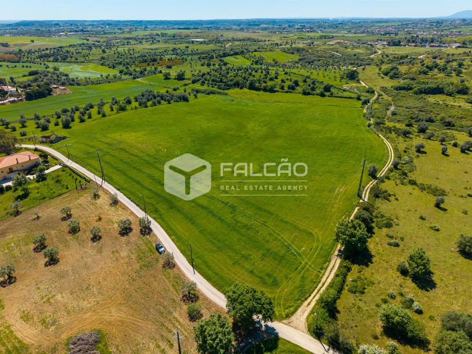 Terreno Misto para Venda em Romeira e Várzea Foto 6