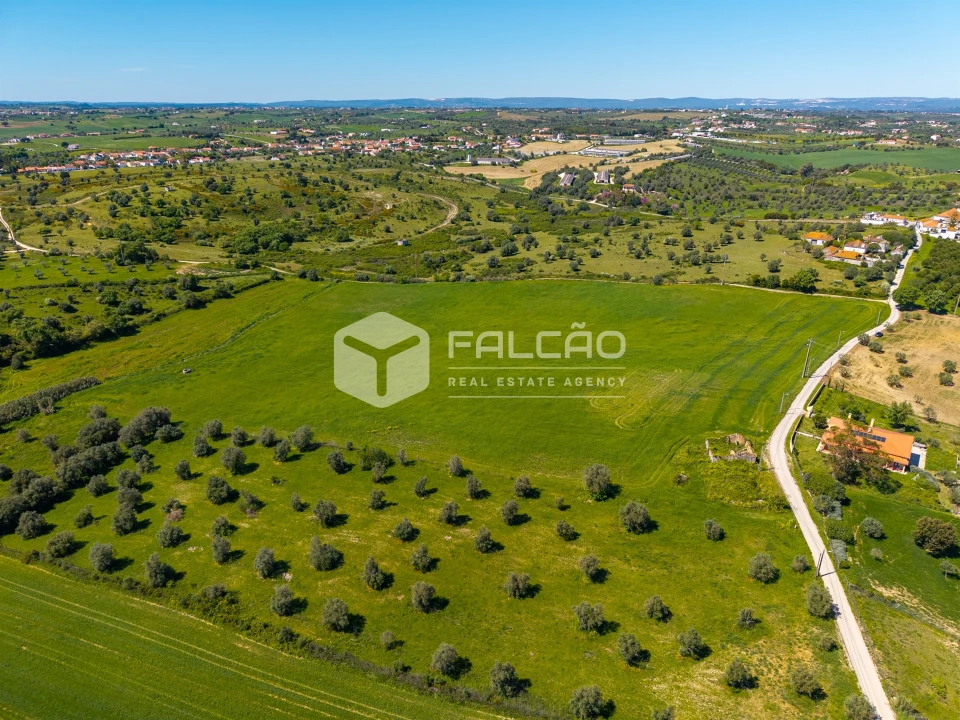 Terreno Misto para Venda em Romeira e Várzea Foto 16