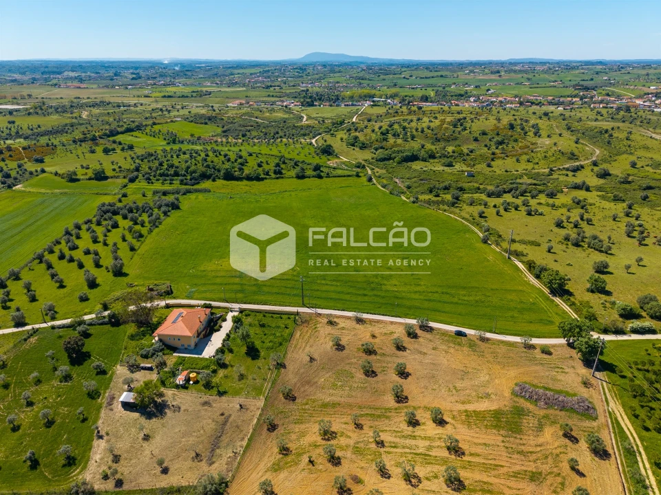 Terreno Misto para Venda em Romeira e Várzea Foto 21