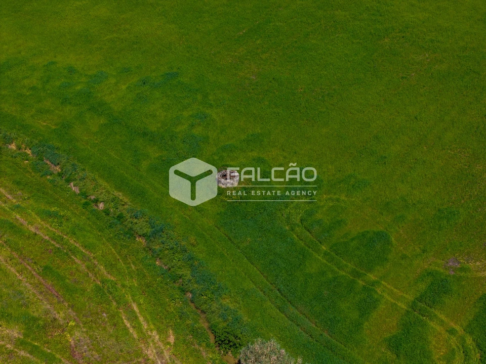 Terreno Misto para Venda em Romeira e Várzea Foto 10