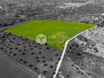 Terreno Misto para Venda em Romeira e Várzea