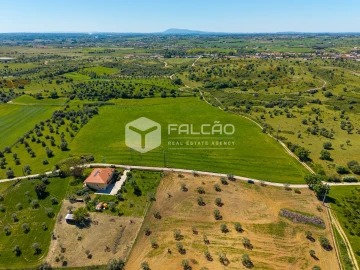 Terreno Misto para Venda em Romeira e Várzea